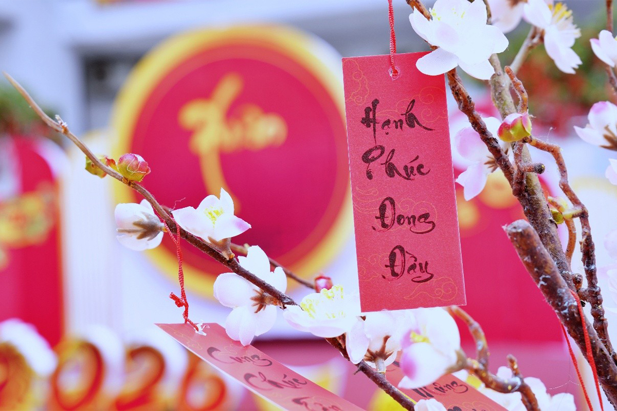 Hội Xuân Cofer 2026 – Xuân sum vầy, tết yêu thương 